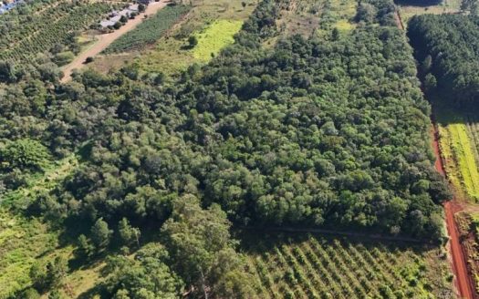 Ruta 12 – Lotes en VENTA – Gobernador Roca, Misiones