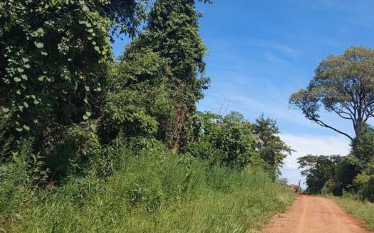 Ruta 12 – Lotes en VENTA – Gobernador Roca, Misiones