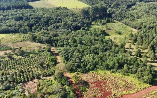 Ruta 12 – Lotes en VENTA – Gobernador Roca, Misiones